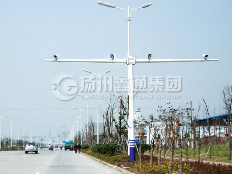 DJG-004，電子警察桿，T型八棱電警桿